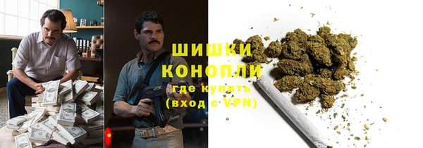 прущие крисы Алзамай
