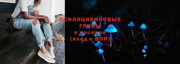 ешки Алексин