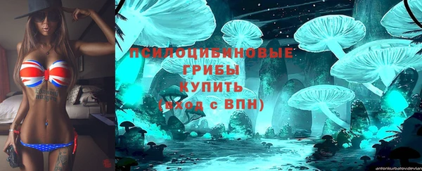 дмт Алексеевка